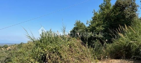 Grundstück in Ogliastro Cilento, Italy 12000m², Nr. 159945 3