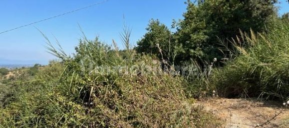 Grundstück in Ogliastro Cilento, Italy 12000m², Nr. 159945 2