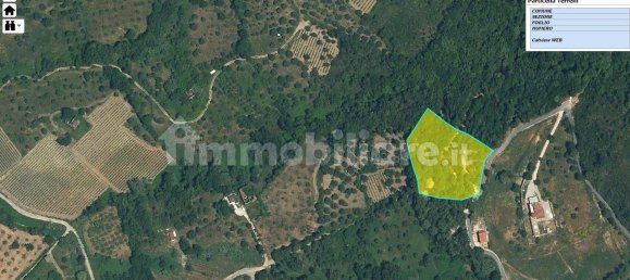 Grundstück in Ogliastro Cilento, Italy 12000m², Nr. 159945 4