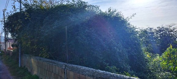  قطعة أرض في Reggio Calabria, Italy 3100متر مربع رقم 296496 13