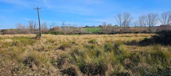 Terreno em Carcaboso, Spain 30000 m² N.º 162018 2