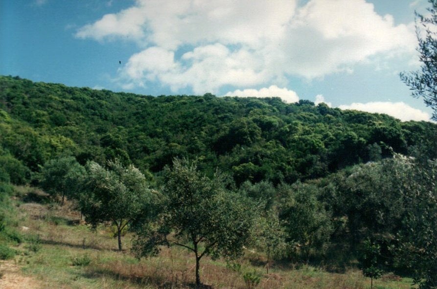  فندق في Corfu, Greece 68000متر مربع رقم 6756