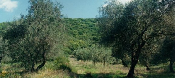 68000m² Hotel in Corfu, Greece No. 6756 2