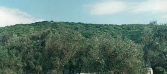 68000m² Hotel in Corfu, Greece No. 6756 4