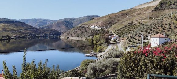 Casa T6 em Peso da Régua, Portugal N.º 115820 22