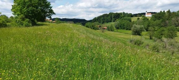 Земельный участок 18638м² в Ebersberg, Германия № 30231 9