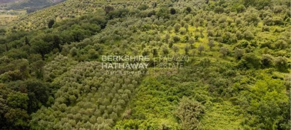 7 bedrooms Villa in Vecchiano, Italy No. 349637 7