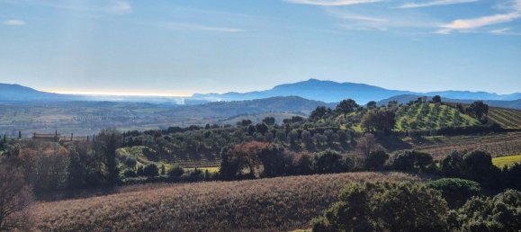 3 rooms House in Magliano in Toscana, Italy No. 153257 30