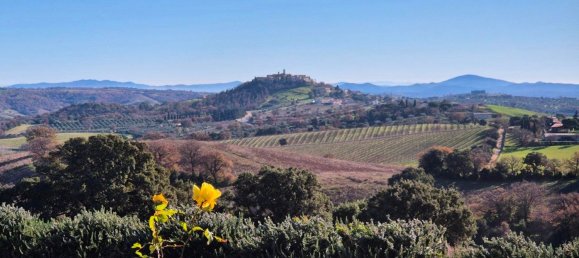 3 rooms House in Magliano in Toscana, Italy No. 153257 32