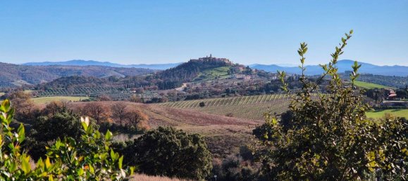 3 rooms House in Magliano in Toscana, Italy No. 153257 29