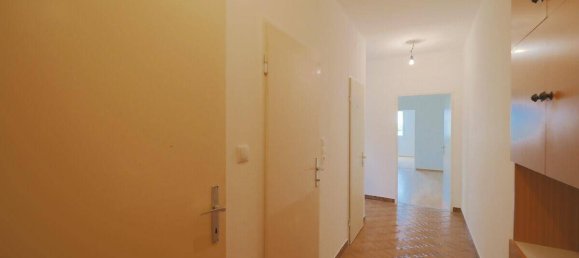 1 chambre Appartement à Wiener Neudorf, Austria No. 234407 2
