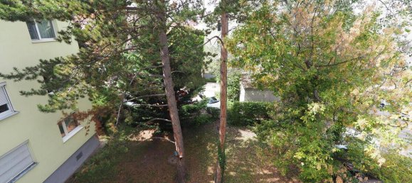 1 chambre Appartement à Wiener Neudorf, Austria No. 234407 13