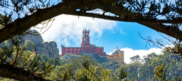 12 bedrooms House in Sintra, Portugal No. 135991 26