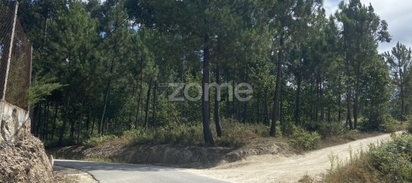 Grundstück in Regadas, Portugal 2176m², Nr. 162432 18