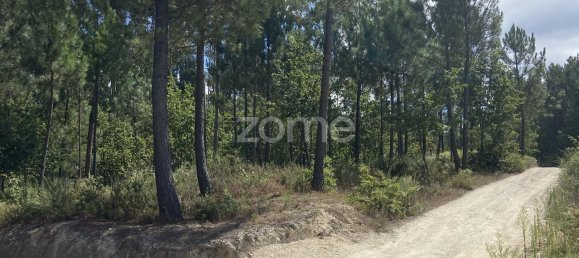 Grundstück in Regadas, Portugal 2176m², Nr. 162432 19