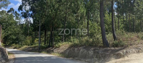 Grundstück in Regadas, Portugal 2176m², Nr. 162432 8