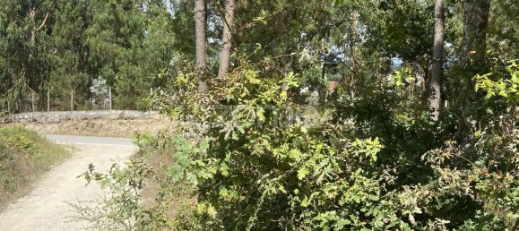 Grundstück in Regadas, Portugal 2176m², Nr. 162432 13