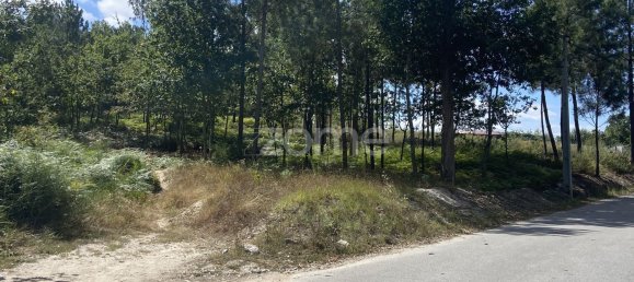 Grundstück in Regadas, Portugal 2176m², Nr. 162432 2