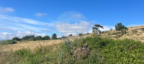 Grundstück in Torres Vedras, Portugal 16040m², Nr. 160228 8