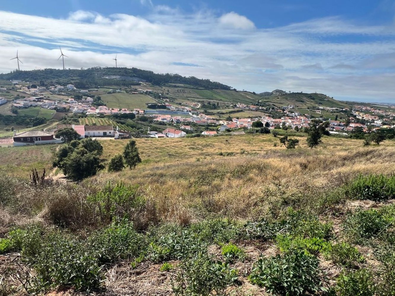 Grundstück in Torres Vedras, Portugal 16040m², Nr. 160228