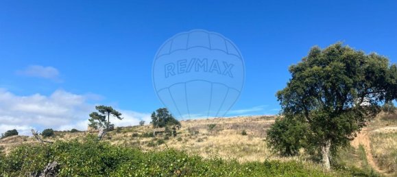 Grundstück in Torres Vedras, Portugal 16040m², Nr. 160228 7