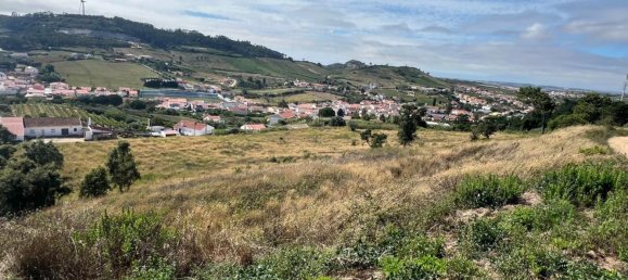 Grundstück in Torres Vedras, Portugal 16040m², Nr. 160228 13