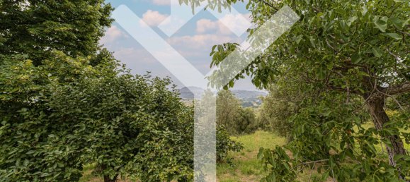 5 bedrooms Villa in Montopoli di Sabina, Italy No. 72583 33