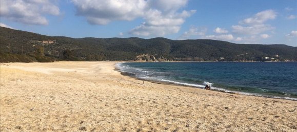 12415m² Hotel in Chalkidiki, Greece No. 6497 6