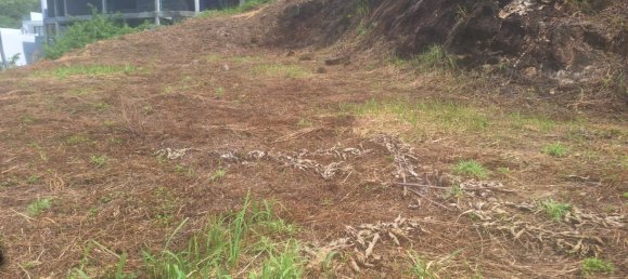 Земельный участок в Самуй, Таиланд № 60016 4