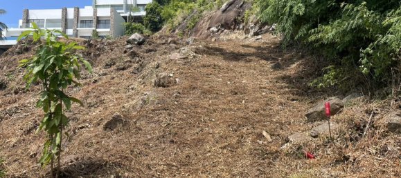 Земельный участок в Самуй, Таиланд № 60016 3