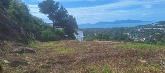 Земельный участок в Самуй, Таиланд № 60016 7