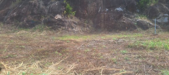 Земельный участок в Самуй, Таиланд № 60016 6