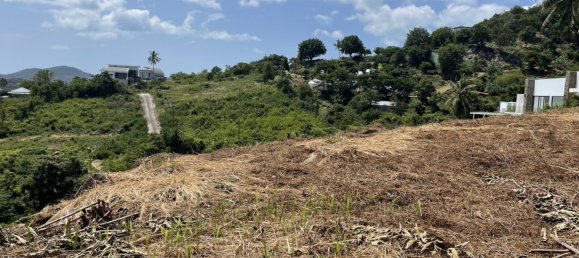 Земельный участок в Самуй, Таиланд № 60016 2