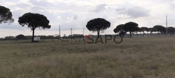 قطعة أرض في Quarteira, Portugal رقم 190588 25