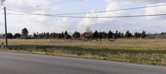 قطعة أرض في Quarteira, Portugal رقم 190588 16