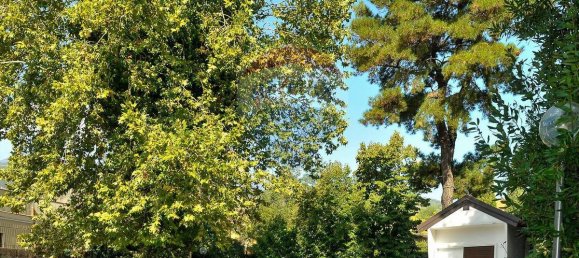 30 غرف نوم بناية في Zafferana Etnea, Italy رقم 55713 21