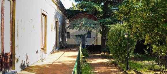 30 غرف نوم بناية في Zafferana Etnea, Italy رقم 55713 39