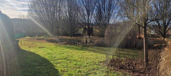 Terrain à Pennewang, Austria No. 165933 2