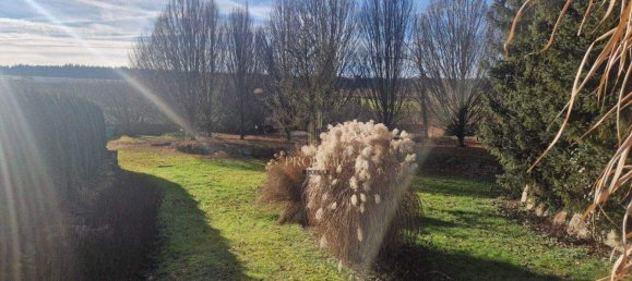 Terrain à Pennewang, Austria No. 165933 5