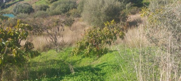 2 Schlafzimmer Haus in Estepona, Spain, Nr. 123494 39