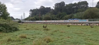 Terreno en Santillana del Mar, Spain No. 239558