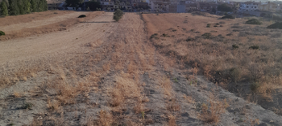 3200m² Land in Maracalagonis, Italy No. 281329 2