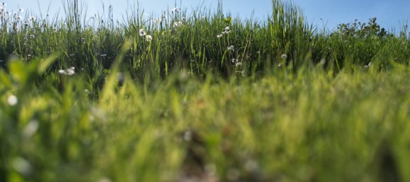 Land in Raaba-Grambach, Austria No. 255565 5