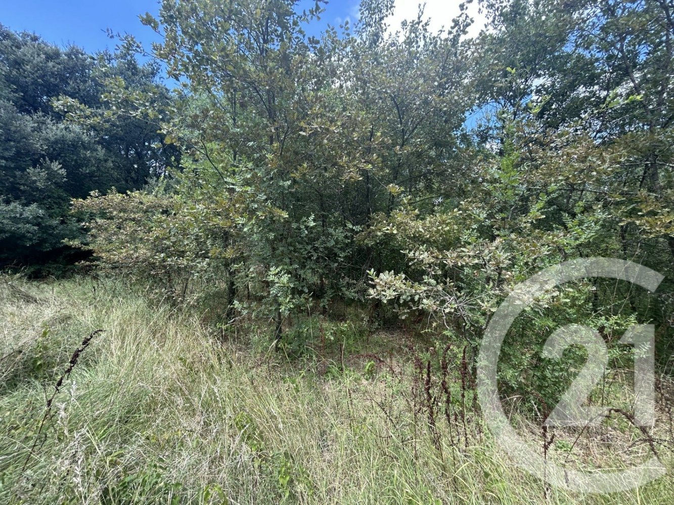  Land in Gard, France No. 292417