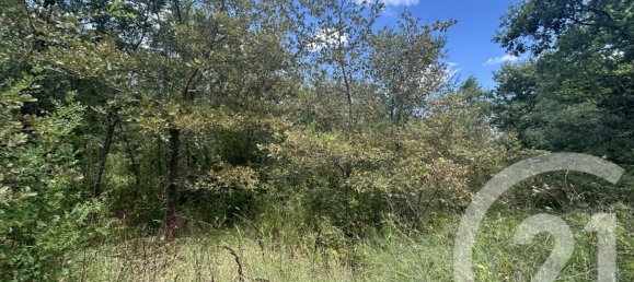  Land in Gard, France No. 292417 2