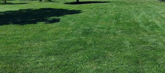 3 chambres Maison à Montoir-de-Bretagne, France No. 340473 7