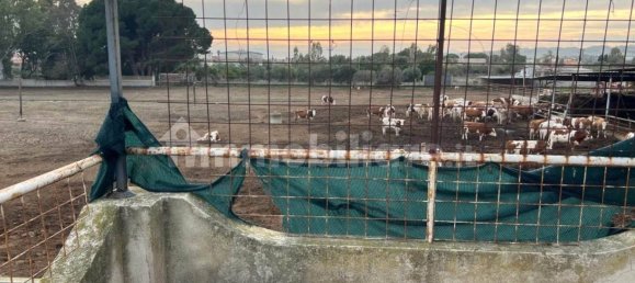 4 bedrooms Apartment in Sellia Marina, Italy No. 144711 24