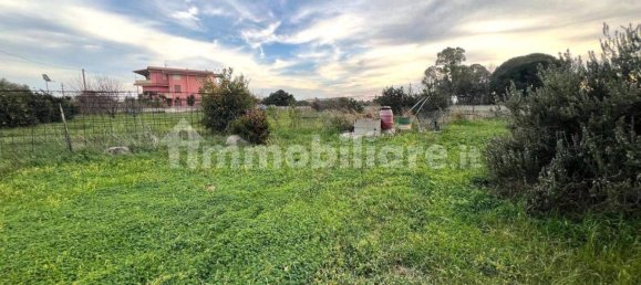 4 bedrooms Apartment in Sellia Marina, Italy No. 144711 25