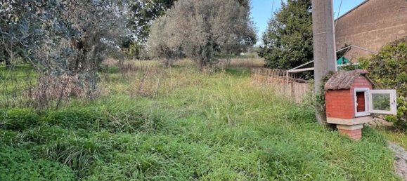 7-Zimmer Haus in Altavilla Silentina, Italy, Nr. 164801 8