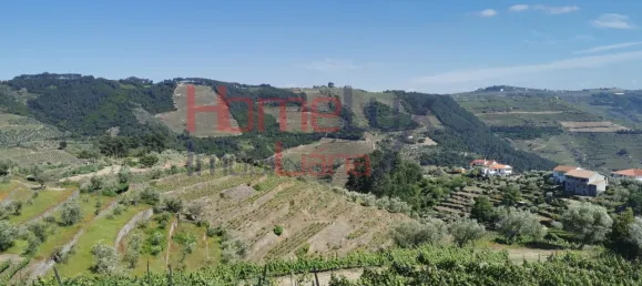 8 bedrooms House in Cumieira, Portugal No. 126260 14